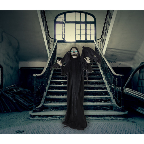 Haunted Hill Farm HHWINGSKEL-1FLSA - 5